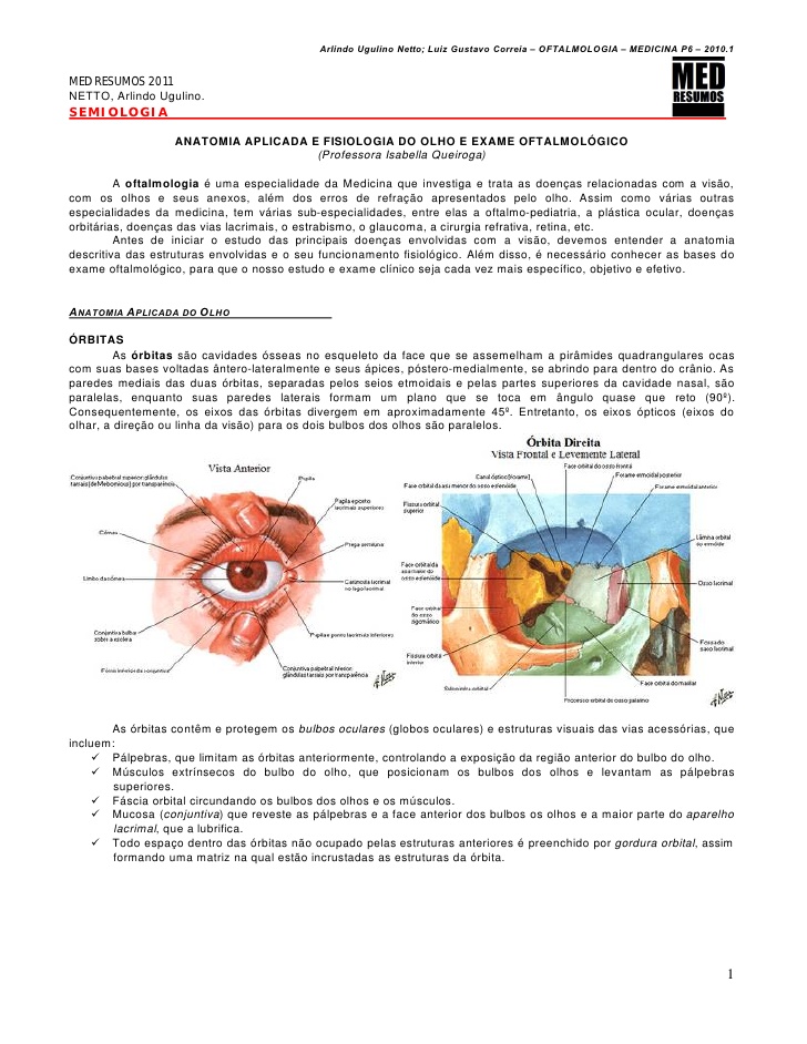 anatomia do olho humano pdf